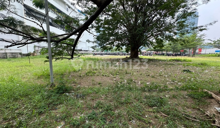 Rent 3 Adjacent Lots in Puri Indah, Can Be Single 5248m