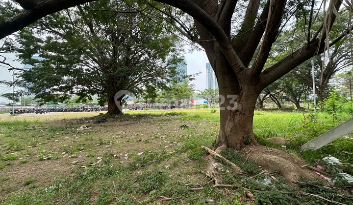 Rent 3 Adjacent Lots in Puri Indah, Can Be Single 5248m