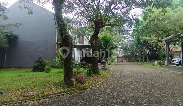 Quick Sale Plot in Cluster Foglio Foresta BSD 246M Hook