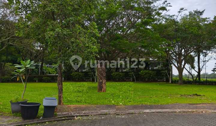 Quick Sale Cajuputi Depark BSD 478M Cul-de-sac Plot