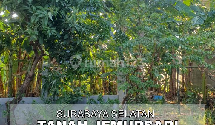Dijual Tanah Lokasi Strategis Bebas Banjir di Jemursari Surabaya