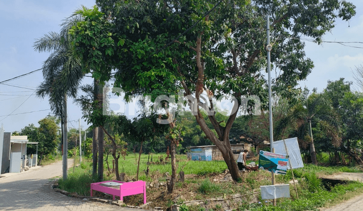 tanah laban menganti masuk gang (siap bangun) 2