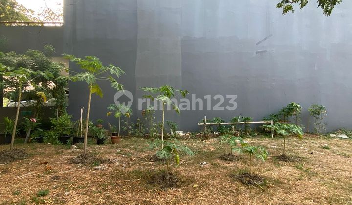 Ebony PIK 1 favorite plot good investment