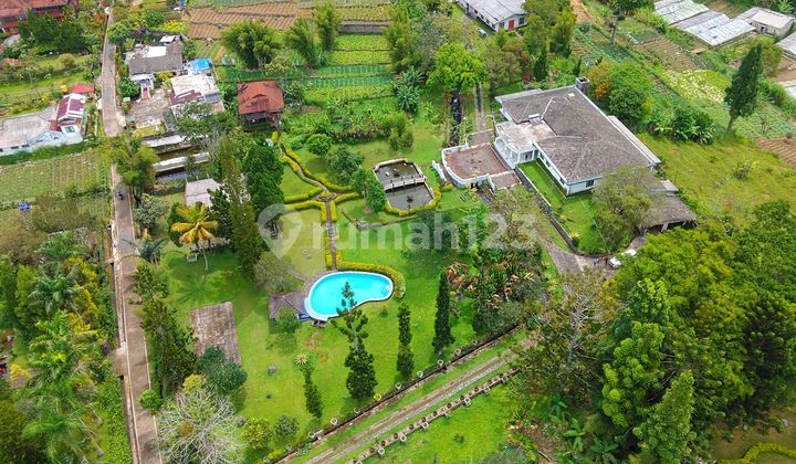 Dijual Villa Catnik di Cimacan. Cipanas. Bogor Dijual Villa Catnik di Cimacan. Cipanas. Bogor
