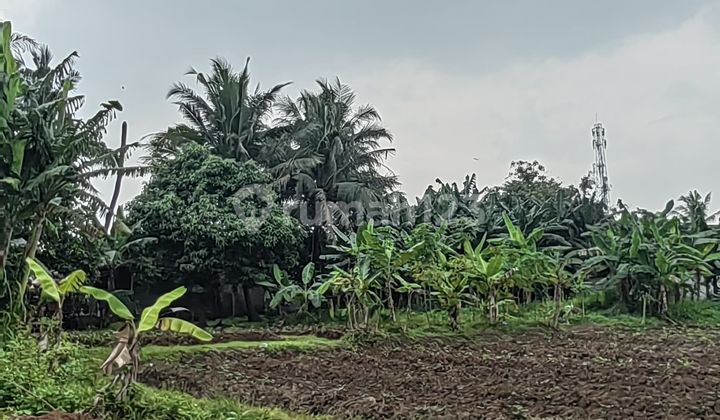 Di Jual Tanah kavling Jl. Balaraja - Tangerang Di Jual Tanah kavling Jl. Balaraja - Tangerang