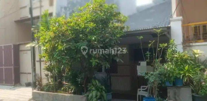 Dijual Rumah Murah di Muara Karang Blok 4 Mp.f.lz.1024 1