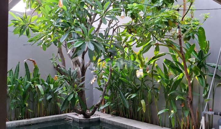 rumah murah bagus citraland depan ada kolam renang minimalis