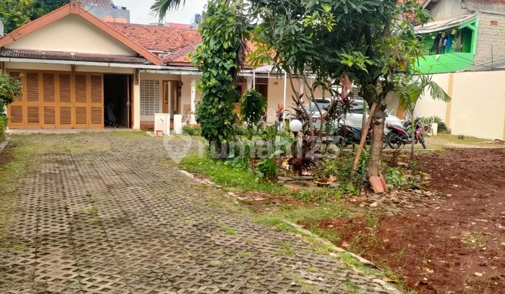Rumah halaman luas cocok untuk kantor 2