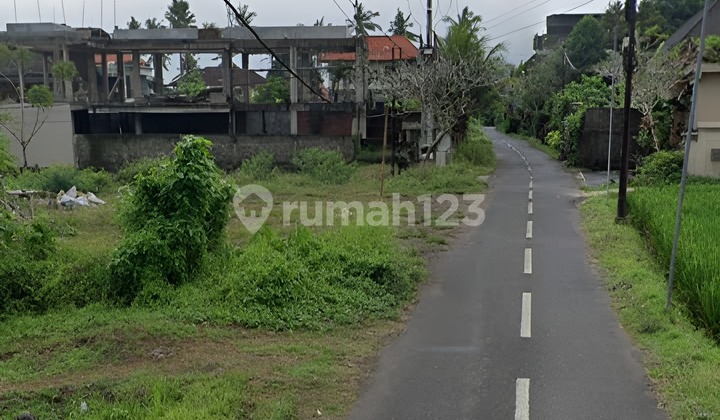 Tanah Luas dengan Pemandangan Sawah Asri – Kemenuh