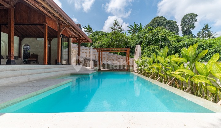 Classic Modern Luxury Villa with Jungle Views Classic Modern Luxury Villa with Jungle Views