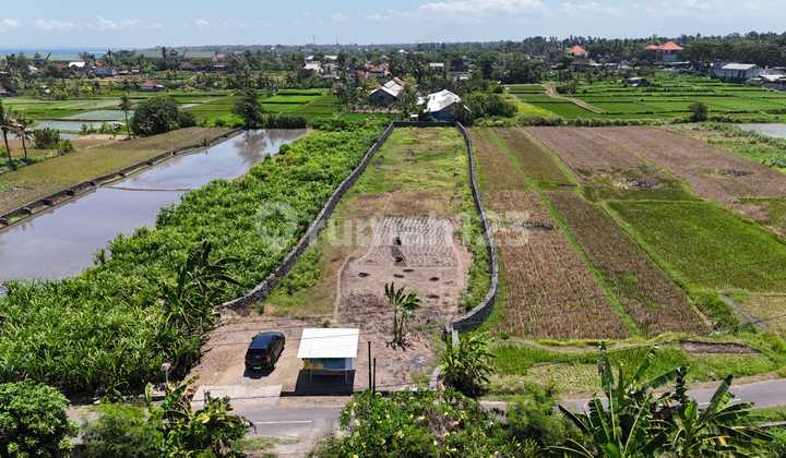 Tanah Murah Dekat Pantai Gianyar – Jalan Kaki ke Pantai Legi