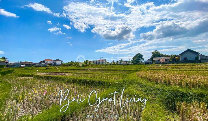 Tanah 2500m2 View Sawah di Kerobokan Cocok Untuk Kavling 7