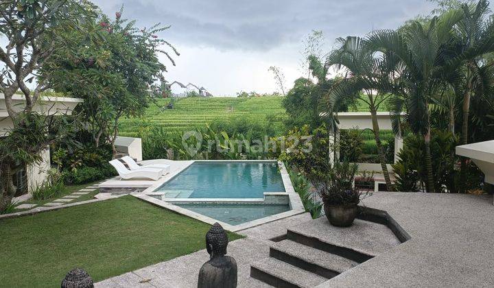 Villa 4 Kamar Dengan View Sawah Luas Di Pererenan Canggu 1