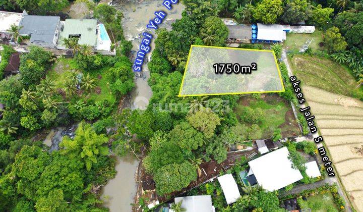 Tanah 1750are Los Sungai Lingkungan Villa di Pantai Nyanyi 4