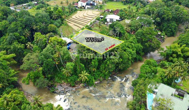 Tanah 1750are Los Sungai Lingkungan Villa di Pantai Nyanyi 3