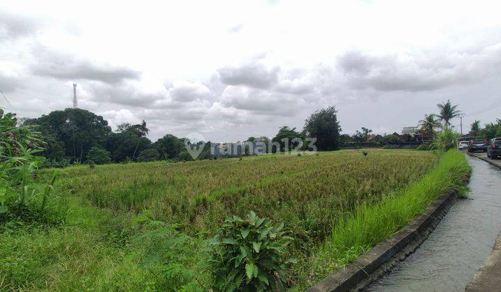 Tanah 1ha Lokasi Strategis Dekat Jalan Utama Dan Pantai Nyanyi 10