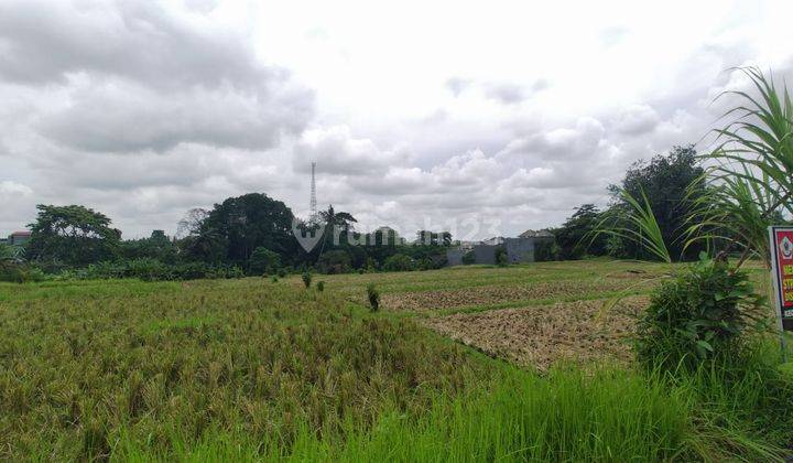 Tanah 1ha Lokasi Strategis Dekat Jalan Utama Dan Pantai Nyanyi 12