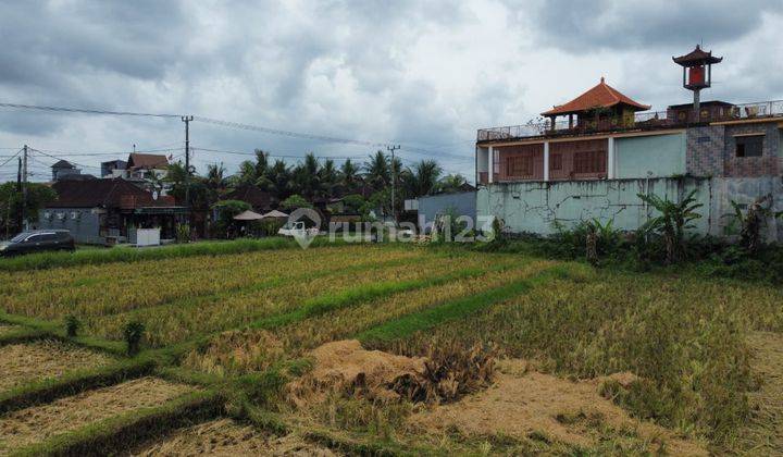 Tanah 1ha Lokasi Strategis Dekat Jalan Utama Dan Pantai Nyanyi 13
