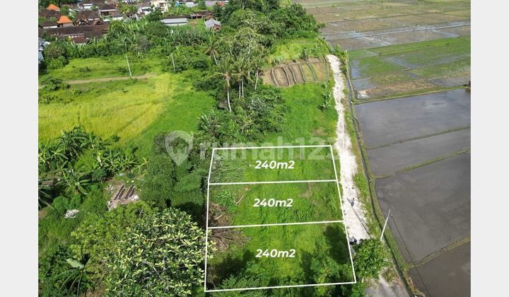 Tanah Kavling – Dekat Pantai Kedungu & Tanah Lot, Tabanan Tanah Kavling – Dekat Pantai Kedungu & Tanah Lot, Tabanan