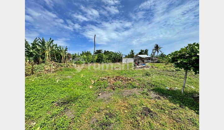 Tanah Lingkungan Sawah di Padonan Canggu Tanah Lingkungan Sawah di Padonan Canggu