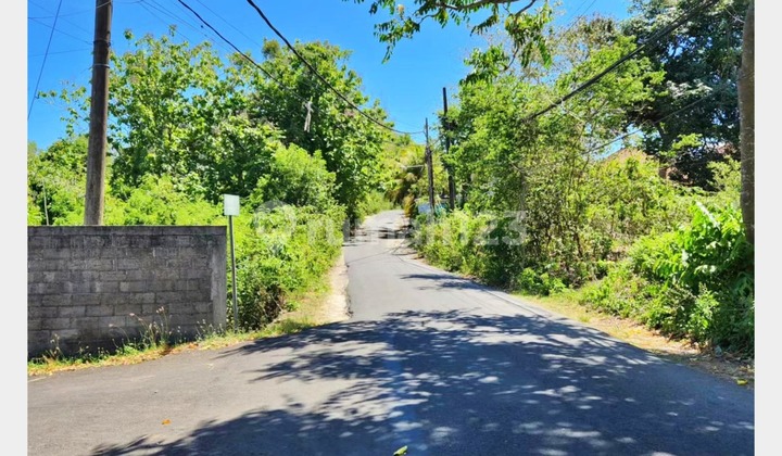 Land on Belimbing Sari Street near Savaya Pecatu