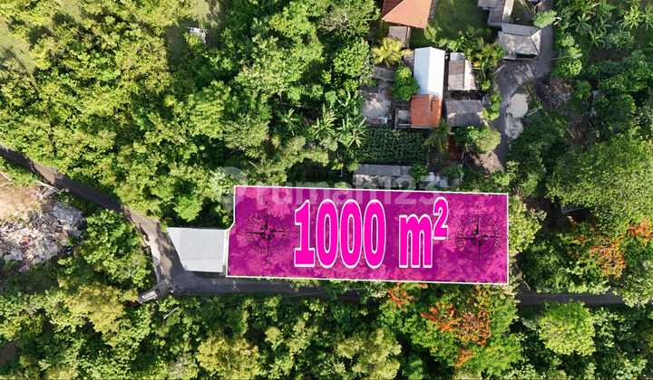 Ocean View Land on Jl Belimbing Sari Pecatu Near Savaya