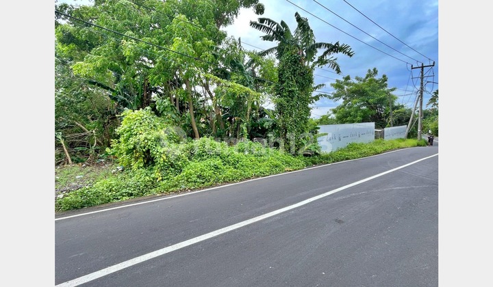 Dijual Tanah di Jalan Utama Raya Tumbak Bayuh - Canggu