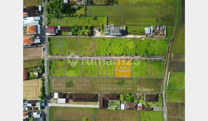 Sebidang tanah di kawasan pantai Kedungu, Tabanan Bali Sebidang tanah di kawasan pantai Kedungu, Tabanan Bali