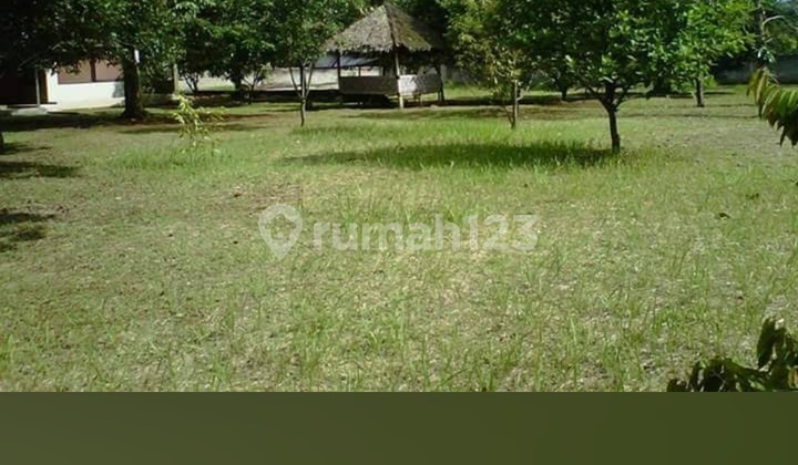 Rumah Halaman Luas Dekat Telaga Kahuripan Bogor 2