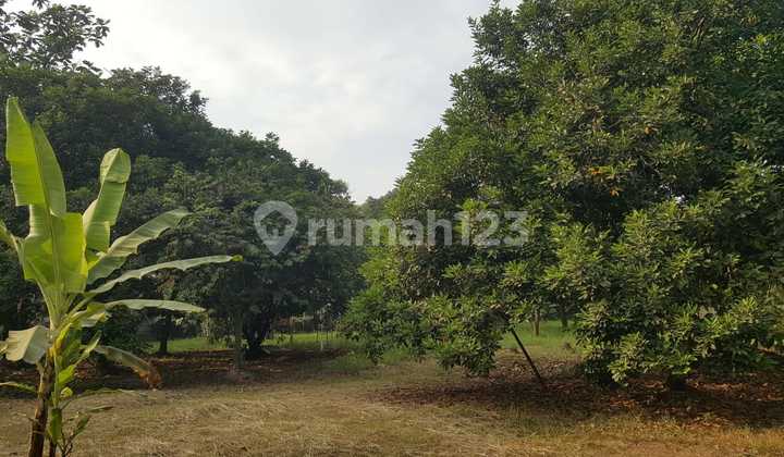 Dijual Tanah Luas Di Pasar Kemis Tangerang 1