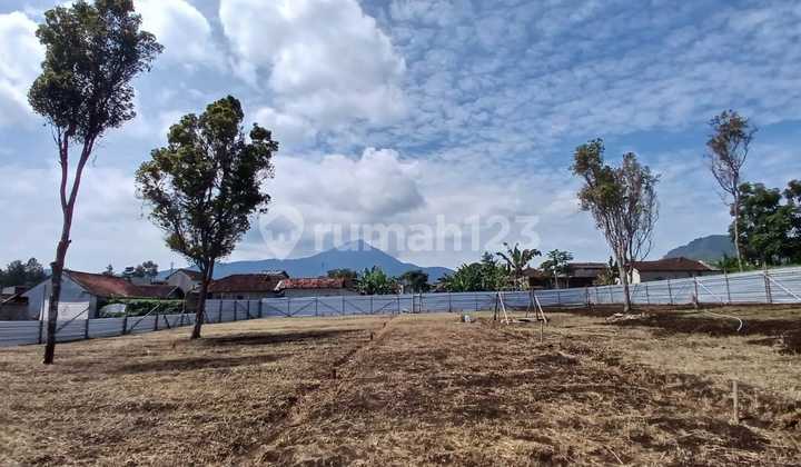 Selling Plots at The Cibodas Land Maribaya Lembang