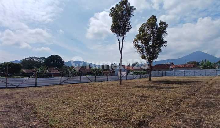 Sell Lembang Plots Suitable For Houses And Villas