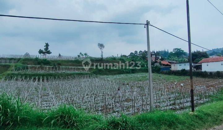 JUAL KAVLING MURAH FULL VIEW AREA LEMBANG 2