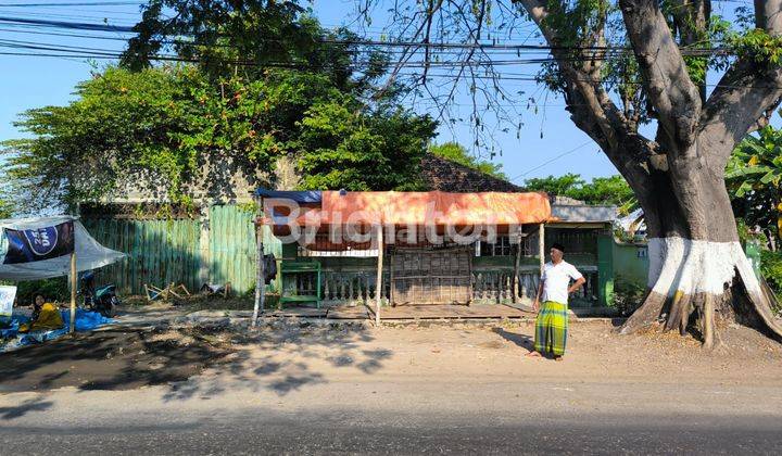 TANAH KOMERSIAL DAERAH DESA KRATON PASURUAN 1