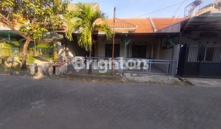 RUMAH LANGKA DI DAERAH MEDOKAN ASRI UTARA SURABAYA  1