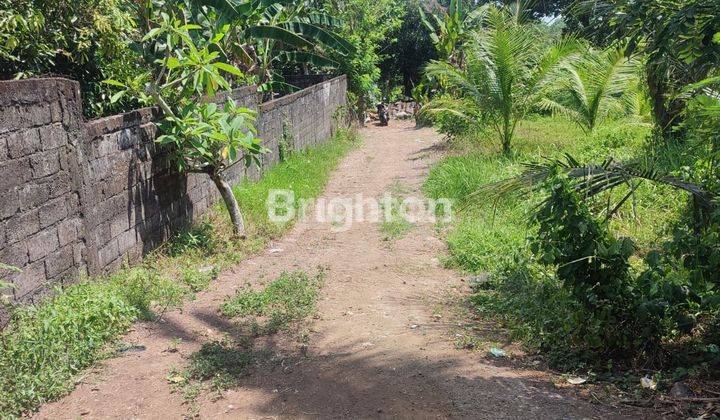 TANAH DIJUAL AREA BADUNG MENGWI BALI 2