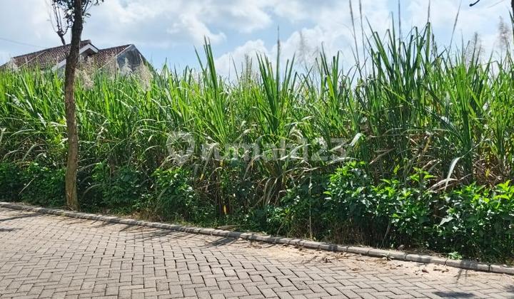 NEW LISTING - TANAH LUAS DI MALANG LOKASI STRATEGIS - SHM - JARANG ADA! JL MENDALANWANGI, WAGIR