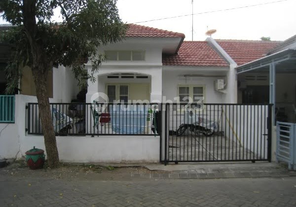 Termurah Rumah Bukit Palma Blok C Citraland Paling Murah Surabaya