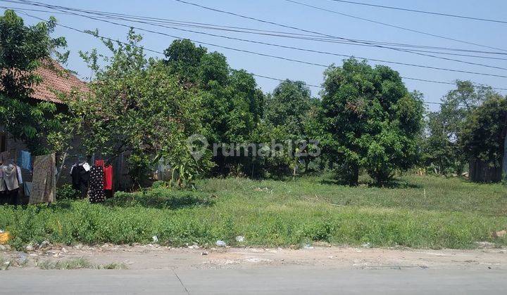 Tanah Jalan Raya Kaliwungu Boja , Kaliwungu Kendal 1