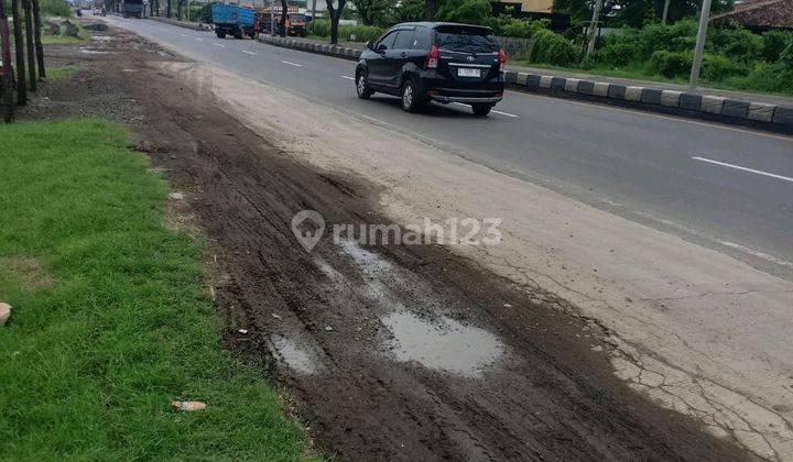 Tanah Strategis Pinggit Jalan Arteri Kaliwungu Kendal 1