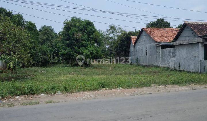 Tanah Strategis Cocok Untuk Buka Usaha, Area Kaliwungu Selatan 1