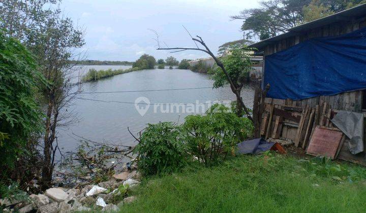 Tanah Strategis Pinggir Jalan Arteri Kaliwungu Kendal 2