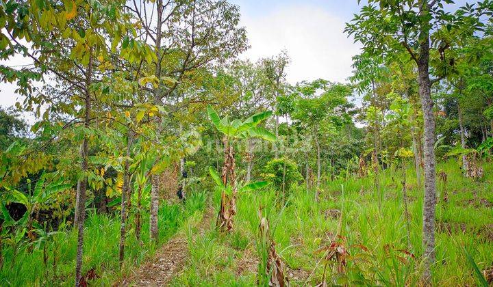 Kavling Tanah Pasuruan siap bangun 1