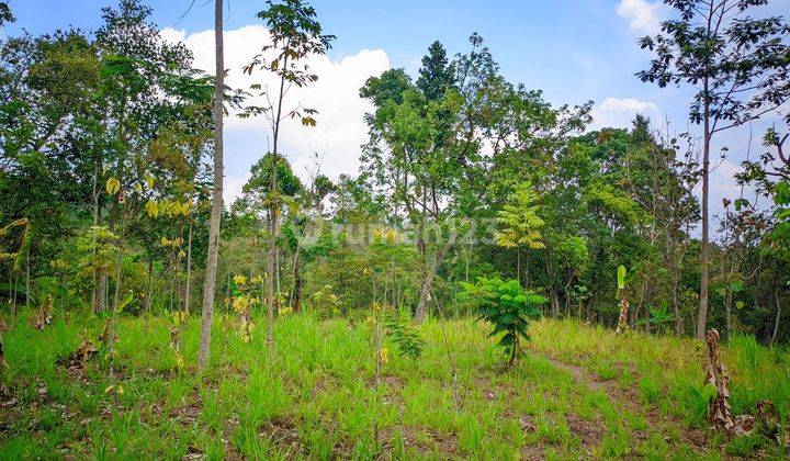 Kavling Tanah Pasuruan siap bangun 2