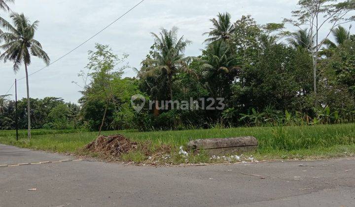 Tanah Di Mororejo, Tempel Dekat Jl. Magelang, Yogya 2