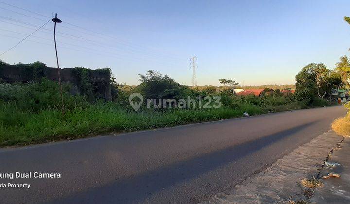 Tanah Pinggir Jalan Kasongan Bantul 1