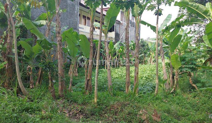 Tanah Di Belakang Kampus Instiper Maguwoharjo 2