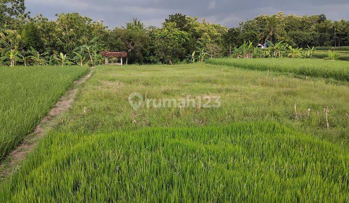 Tanah Dekat Pasar Sentolo Kulon Progo Yogya 1