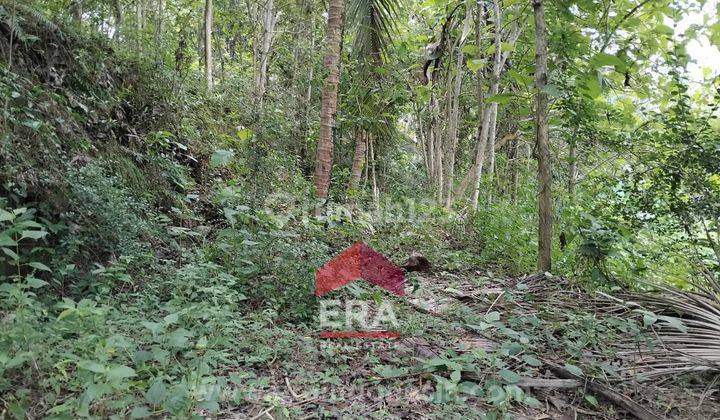 Tanah Murah SHMP Dekat Bandara YIA Area Pengasih Kulon Progo 1