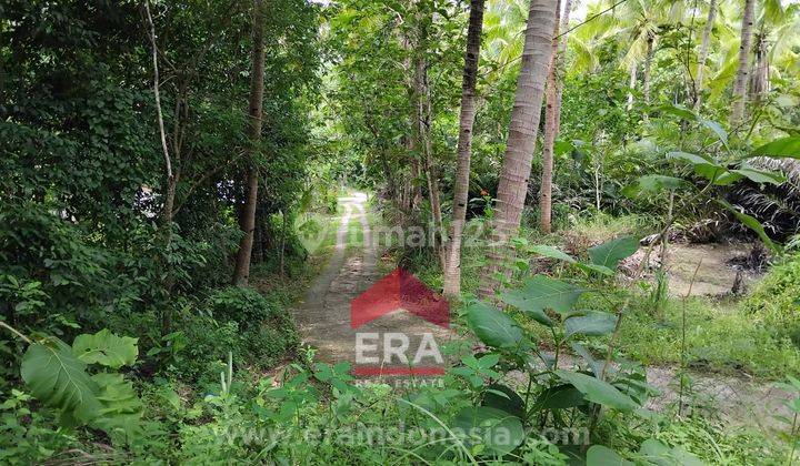 Tanah Murah SHMP Dekat Bandara YIA Area Pengasih Kulon Progo 2